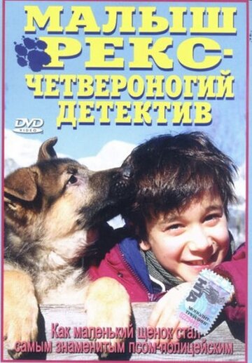 Фильм «Малыш Рекс – четвероногий детектив» смотреть онлайн фильм в хорошем качестве 720p Фильм «Малыш Рекс – четвероногий детектив» смотреть онлайн фильм в хорошем качестве 720p