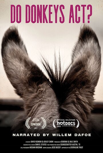 Фильм «Do Donkeys Act?» смотреть онлайн фильм в хорошем качестве 1080p Фильм «Do Donkeys Act?» смотреть онлайн фильм в хорошем качестве 1080p