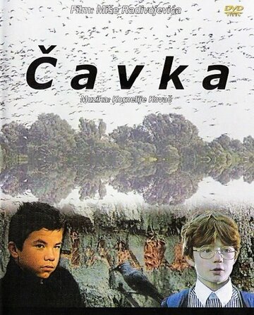 Фильм «Галка» смотреть онлайн фильм в хорошем качестве 720p Фильм «Галка» смотреть онлайн фильм в хорошем качестве 720p
