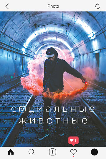 Фильм «Социальные животные» смотреть онлайн фильм в хорошем качестве 1080p Фильм «Социальные животные» смотреть онлайн фильм в хорошем качестве 1080p