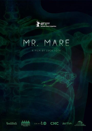 Мультфильм «Lidérc úr» смотреть онлайн в хорошем качестве 1080p Мультфильм «Lidérc úr» смотреть онлайн в хорошем качестве 1080p