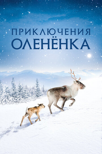 Фильм «Приключения оленёнка» скачать бесплатно в хорошем качестве без регистрации и смс 1080p Фильм «Приключения оленёнка» скачать бесплатно в хорошем качестве без регистрации и смс 1080p
