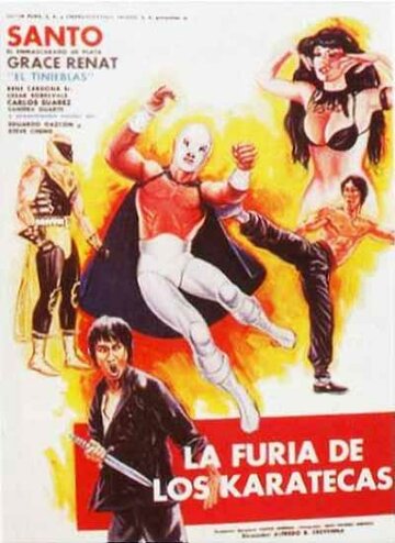 Фильм «La furia de los karatecas» смотреть онлайн фильм в хорошем качестве 720p Фильм «La furia de los karatecas» смотреть онлайн фильм в хорошем качестве 720p