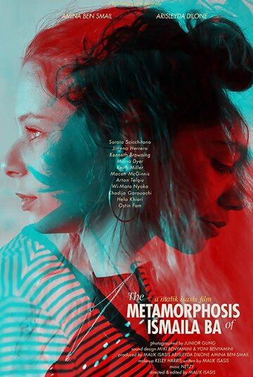 Фильм «Метаморфозы Исмаилы Ба» смотреть онлайн фильм в хорошем качестве 720p Фильм «Метаморфозы Исмаилы Ба» смотреть онлайн фильм в хорошем качестве 720p