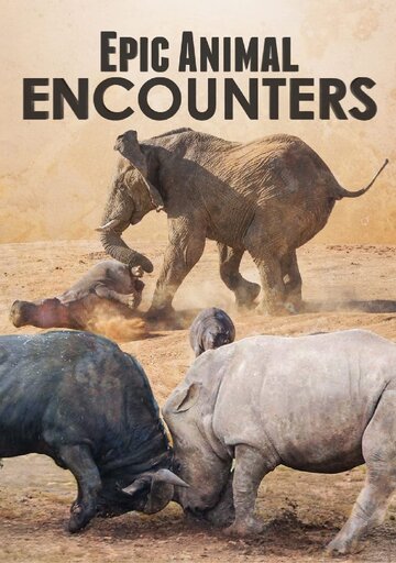«Epic Animal Encounters» трейлер сериала в хорошем качестве 1080p «Epic Animal Encounters» трейлер сериала в хорошем качестве 1080p