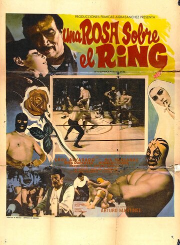 «Una rosa sobre el ring» трейлер фильма в хорошем качестве 1080p «Una rosa sobre el ring» трейлер фильма в хорошем качестве 1080p