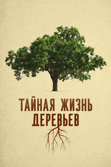 Фильм «Деревья: гении мира природы» смотреть онлайн фильм в хорошем качестве 720p Фильм «Деревья: гении мира природы» смотреть онлайн фильм в хорошем качестве 720p