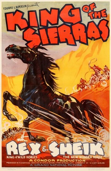 Фильм «King of the Sierras» смотреть онлайн фильм в хорошем качестве 720p Фильм «King of the Sierras» смотреть онлайн фильм в хорошем качестве 720p