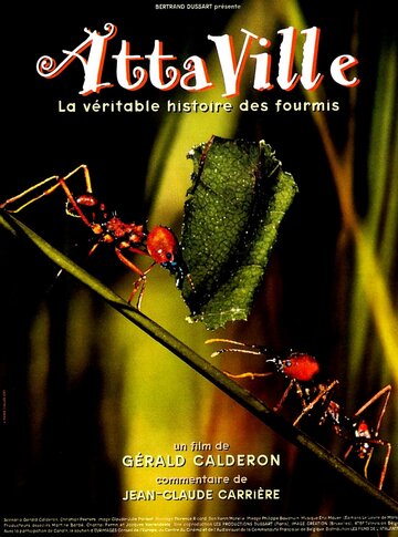 Фильм «Attaville, la véritable histoire des fourmis» смотреть онлайн фильм в хорошем качестве 720p Фильм «Attaville, la véritable histoire des fourmis» смотреть онлайн фильм в хорошем качестве 720p