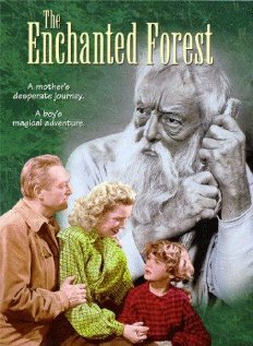 Фильм «The Enchanted Forest» смотреть онлайн фильм в хорошем качестве 1080p Фильм «The Enchanted Forest» смотреть онлайн фильм в хорошем качестве 1080p