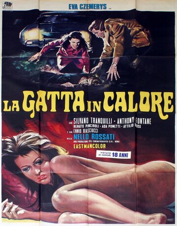 «La gatta in calore» кадры фильма в хорошем качестве «La gatta in calore» кадры фильма в хорошем качестве