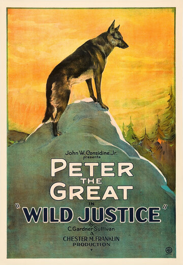 Фильм «Wild Justice» скачать бесплатно в хорошем качестве без регистрации и смс 1080p Фильм «Wild Justice» скачать бесплатно в хорошем качестве без регистрации и смс 1080p