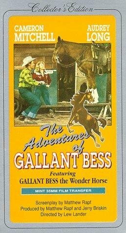 Фильм «Adventures of Gallant Bess» смотреть онлайн фильм в хорошем качестве 720p Фильм «Adventures of Gallant Bess» смотреть онлайн фильм в хорошем качестве 720p