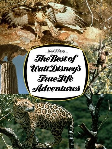 Фильм «The Best of Walt Disney's True-Life Adventures» смотреть онлайн фильм в хорошем качестве 1080p Фильм «The Best of Walt Disney's True-Life Adventures» смотреть онлайн фильм в хорошем качестве 1080p