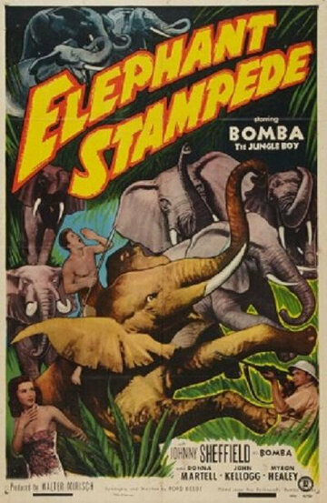 Фильм «Elephant Stampede» смотреть онлайн фильм в хорошем качестве 720p Фильм «Elephant Stampede» смотреть онлайн фильм в хорошем качестве 720p