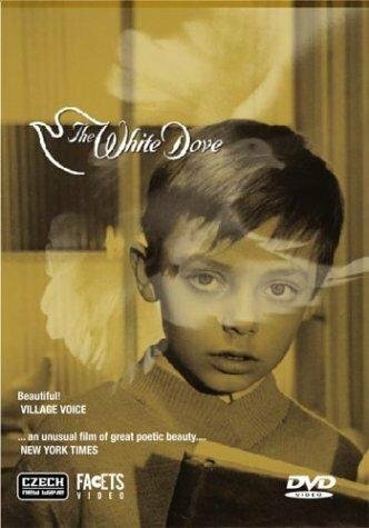 Фильм «The White Dove» смотреть онлайн фильм в хорошем качестве 720p Фильм «The White Dove» смотреть онлайн фильм в хорошем качестве 720p