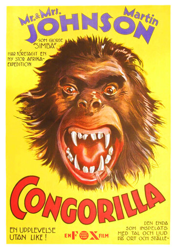 Фильм «Congorilla» смотреть онлайн фильм в хорошем качестве 720p Фильм «Congorilla» смотреть онлайн фильм в хорошем качестве 720p