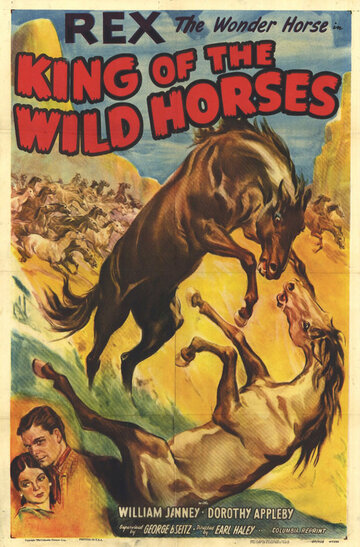Фильм «King of the Wild Horses» смотреть онлайн фильм в хорошем качестве 1080p Фильм «King of the Wild Horses» смотреть онлайн фильм в хорошем качестве 1080p