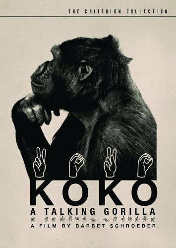 «Коко, говорящая горилла» трейлер фильма в хорошем качестве 1080p «Коко, говорящая горилла» трейлер фильма в хорошем качестве 1080p