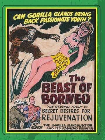 Фильм «The Beast of Borneo» смотреть онлайн фильм в хорошем качестве 1080p Фильм «The Beast of Borneo» смотреть онлайн фильм в хорошем качестве 1080p
