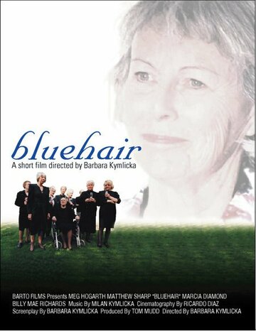 Фильм «Bluehair» скачать бесплатно в хорошем качестве без регистрации и смс 1080p Фильм «Bluehair» скачать бесплатно в хорошем качестве без регистрации и смс 1080p