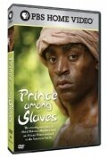«Prince Among Slaves» трейлер фильма в хорошем качестве 1080p «Prince Among Slaves» трейлер фильма в хорошем качестве 1080p