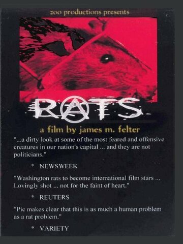 Фильм «Rats» скачать бесплатно в хорошем качестве без регистрации и смс 1080p Фильм «Rats» скачать бесплатно в хорошем качестве без регистрации и смс 1080p