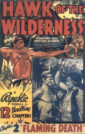 Фильм «Hawk of the Wilderness» смотреть онлайн фильм в хорошем качестве 1080p Фильм «Hawk of the Wilderness» смотреть онлайн фильм в хорошем качестве 1080p