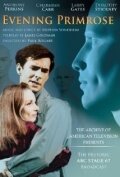 Фильм «Вечерний первоцвет» смотреть онлайн фильм в хорошем качестве 720p Фильм «Вечерний первоцвет» смотреть онлайн фильм в хорошем качестве 720p