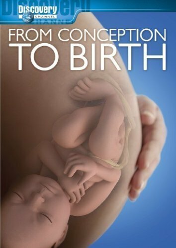 Фильм «From Conception to Birth» смотреть онлайн фильм в хорошем качестве 720p Фильм «From Conception to Birth» смотреть онлайн фильм в хорошем качестве 720p