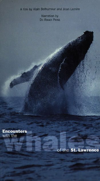 Фильм «Rencontres avec les baleines du Saint-Laurent» смотреть онлайн фильм в хорошем качестве 1080p Фильм «Rencontres avec les baleines du Saint-Laurent» смотреть онлайн фильм в хорошем качестве 1080p