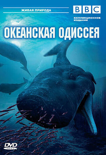Мультфильм «BBC: Океанская одиссея» смотреть онлайн в хорошем качестве 1080p Мультфильм «BBC: Океанская одиссея» смотреть онлайн в хорошем качестве 1080p
