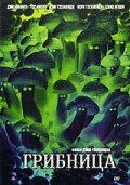 Фильм «Грибница» смотреть онлайн фильм в хорошем качестве 1080p Фильм «Грибница» смотреть онлайн фильм в хорошем качестве 1080p