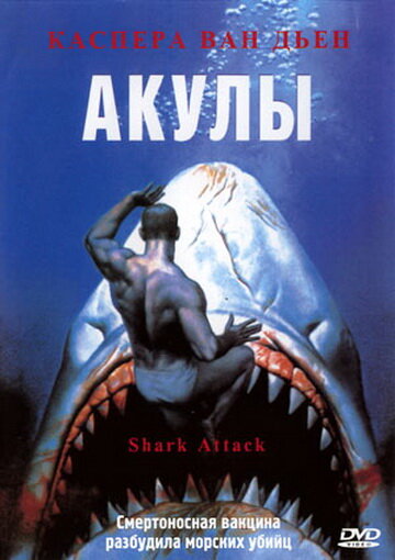 «Акулы» кадры фильма в хорошем качестве «Акулы» кадры фильма в хорошем качестве