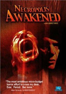 Фильм «Necropolis Awakened» смотреть онлайн фильм в хорошем качестве 1080p Фильм «Necropolis Awakened» смотреть онлайн фильм в хорошем качестве 1080p