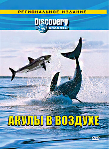 Фильм «Discovery: Акулы в воздухе» смотреть онлайн фильм в хорошем качестве 720p Фильм «Discovery: Акулы в воздухе» смотреть онлайн фильм в хорошем качестве 720p