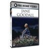 Фильм «Jane Goodall: Reason for Hope» смотреть онлайн фильм в хорошем качестве 720p Фильм «Jane Goodall: Reason for Hope» смотреть онлайн фильм в хорошем качестве 720p
