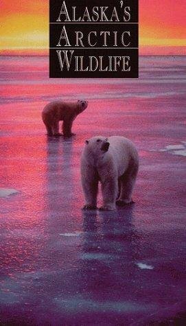 Фильм «Alaska's Arctic Wildlife» смотреть онлайн фильм в хорошем качестве 720p Фильм «Alaska's Arctic Wildlife» смотреть онлайн фильм в хорошем качестве 720p
