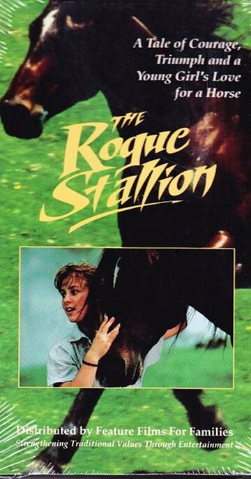 Фильм «The Rogue Stallion» смотреть онлайн фильм в хорошем качестве 1080p Фильм «The Rogue Stallion» смотреть онлайн фильм в хорошем качестве 1080p