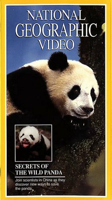Фильм «Secrets of the Wild Panda» смотреть онлайн фильм в хорошем качестве 720p Фильм «Secrets of the Wild Panda» смотреть онлайн фильм в хорошем качестве 720p