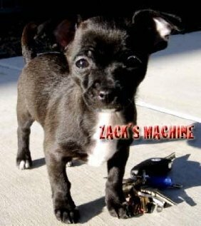 Фильм «Zack's Machine» скачать бесплатно в хорошем качестве без регистрации и смс 1080p Фильм «Zack's Machine» скачать бесплатно в хорошем качестве без регистрации и смс 1080p