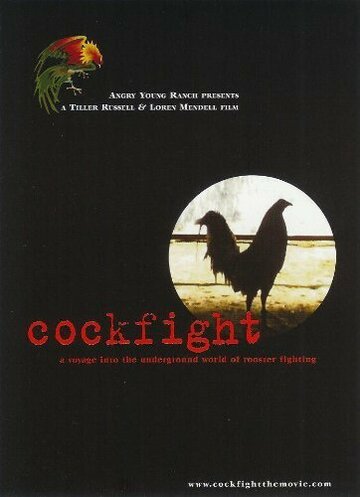 «Cockfight» кадры фильма в хорошем качестве «Cockfight» кадры фильма в хорошем качестве