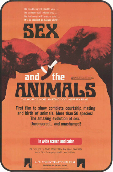 Фильм «Sex and the Animals» скачать бесплатно в хорошем качестве без регистрации и смс 1080p Фильм «Sex and the Animals» скачать бесплатно в хорошем качестве без регистрации и смс 1080p
