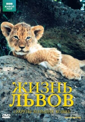 Фильм «BBC: Жизнь львов» смотреть онлайн фильм в хорошем качестве 720p Фильм «BBC: Жизнь львов» смотреть онлайн фильм в хорошем качестве 720p