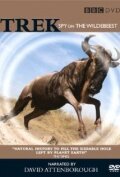 Фильм «Trek: Spy on the Wildebeest» смотреть онлайн фильм в хорошем качестве 720p Фильм «Trek: Spy on the Wildebeest» смотреть онлайн фильм в хорошем качестве 720p