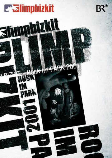 Фильм «Limp Bizkit: Rock in the Park» смотреть онлайн фильм в хорошем качестве 720p Фильм «Limp Bizkit: Rock in the Park» смотреть онлайн фильм в хорошем качестве 720p