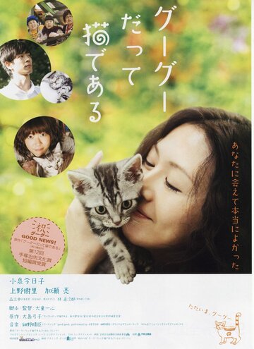 Фильм «Кот по имени Гу-Гу» смотреть онлайн фильм в хорошем качестве 720p Фильм «Кот по имени Гу-Гу» смотреть онлайн фильм в хорошем качестве 720p