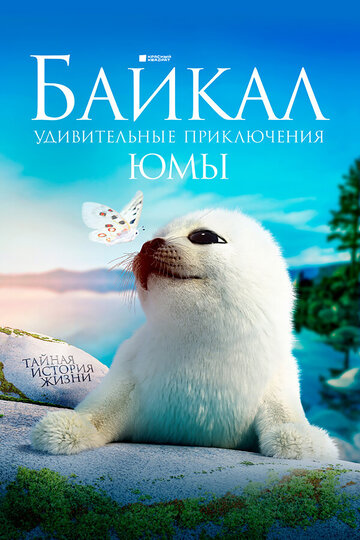 Фильм «Байкал. Удивительные приключения Юмы Фильм «Байкал. Удивительные приключения Юмы