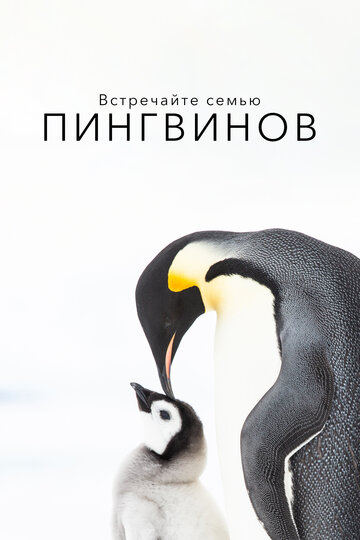Фильм «Встречайте семью пингвинов» смотреть онлайн фильм в хорошем качестве 720p Фильм «Встречайте семью пингвинов» смотреть онлайн фильм в хорошем качестве 720p