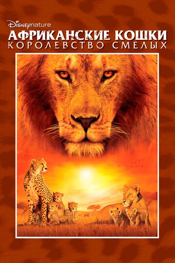 Фильм «Африканские кошки: Королевство смелых» смотреть онлайн фильм в хорошем качестве 720p Фильм «Африканские кошки: Королевство смелых» смотреть онлайн фильм в хорошем качестве 720p